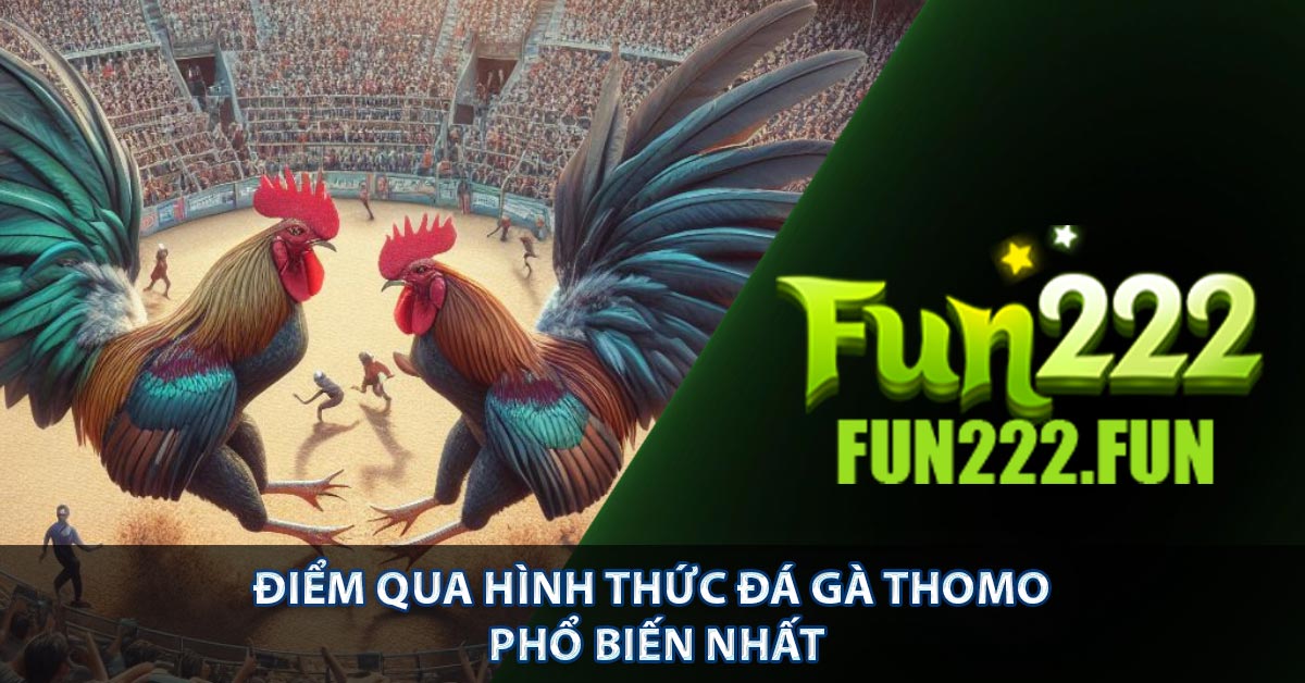 Điểm qua hình thức đá gà Thomo phổ biến nhất