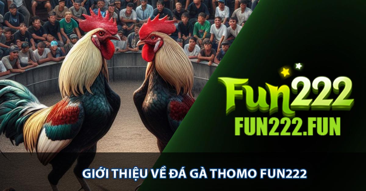 Giới thiệu về đá gà Thomo FUN222