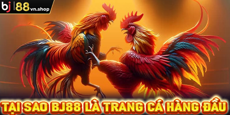 Tại sao BJ88 là trang cá hàng đầu cho đá gà trực tuyến?